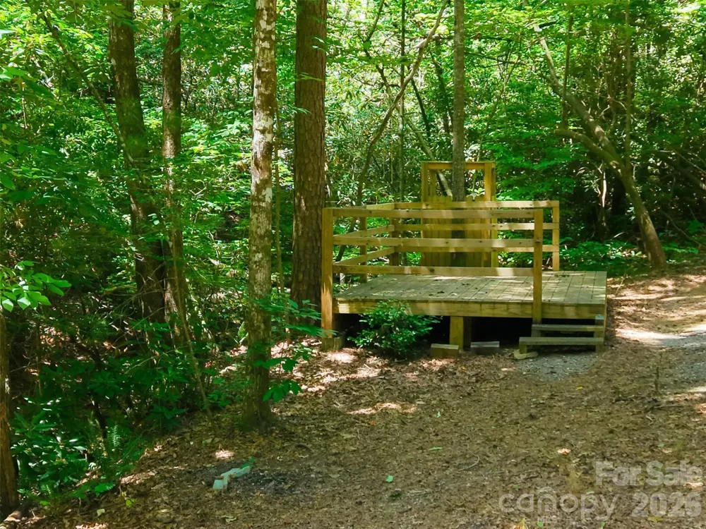 TBD Basin Creek Drive #14 Taylorsville, NC 28681