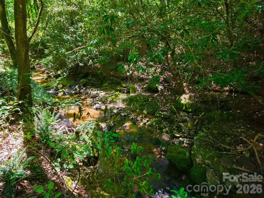 TBD Basin Creek Drive #14 Taylorsville, NC 28681