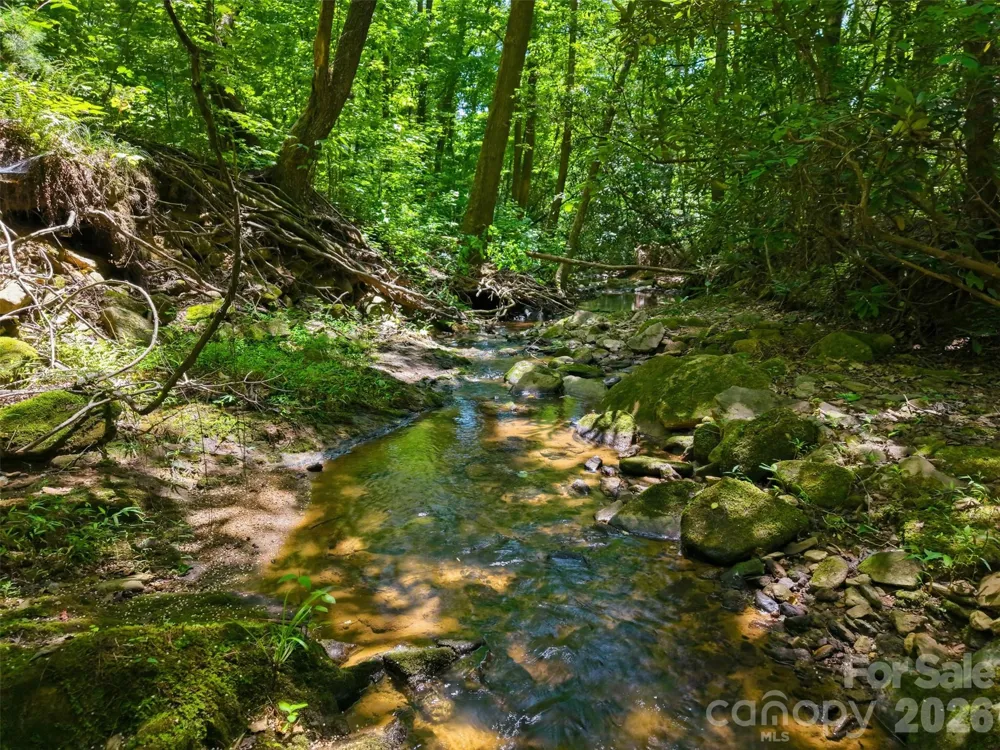 TBD Basin Creek Drive #14 Taylorsville, NC 28681