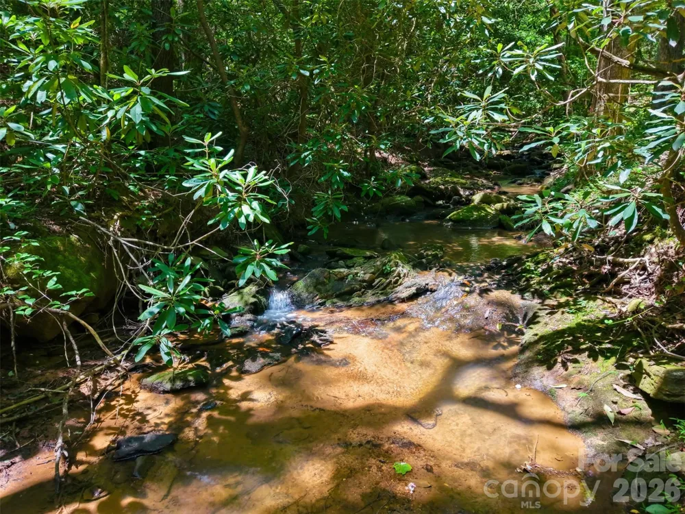 TBD Basin Creek Drive #14 Taylorsville, NC 28681