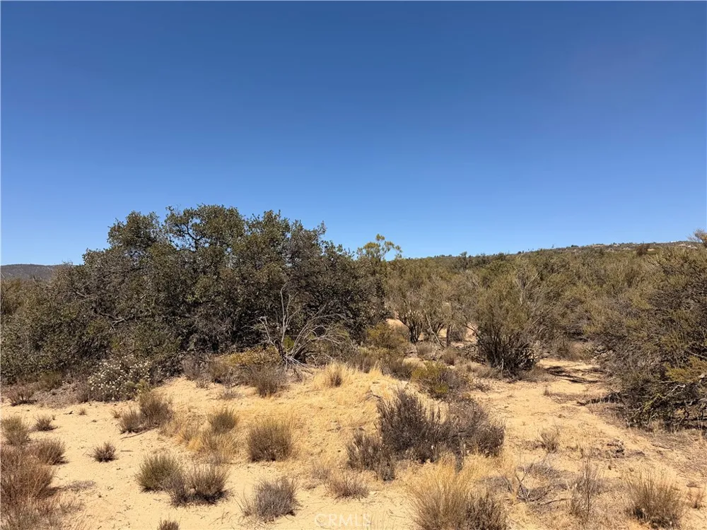 58650 Wellman Rd Anza, CA 92539