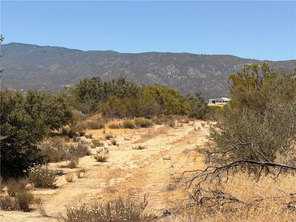58650 Wellman Rd Anza, CA 92539