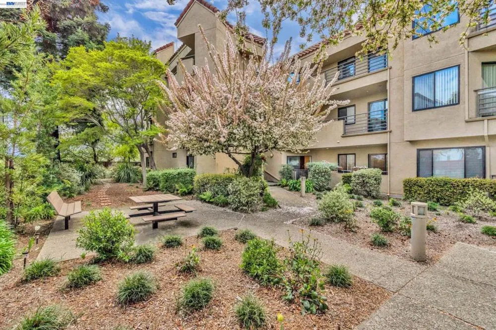 1201 Alta Vista Dr #108 Walnut Creek, CA 94596