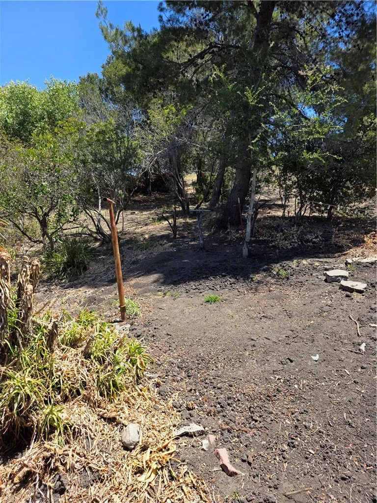 1411 San Luis Drive San Luis Obispo, CA 93401