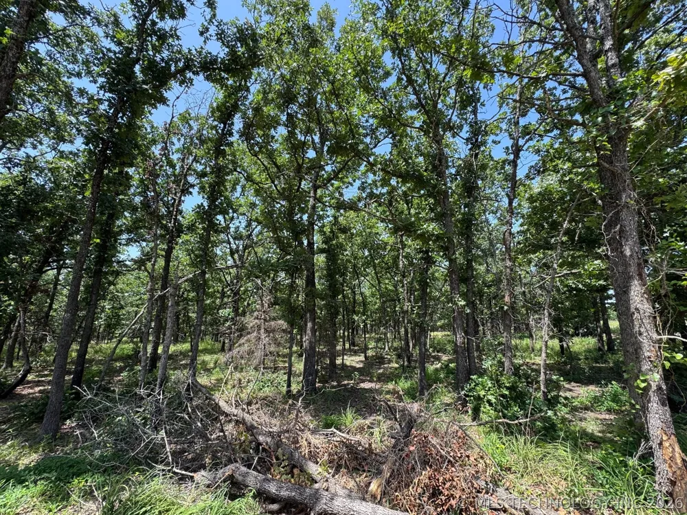Happy Hills Hartshorne, OK 74547