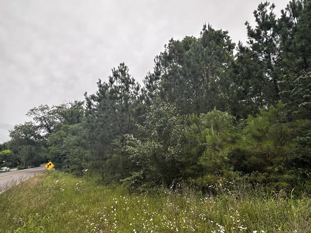 0 Hwy 120 Big Rock, TN 37023
