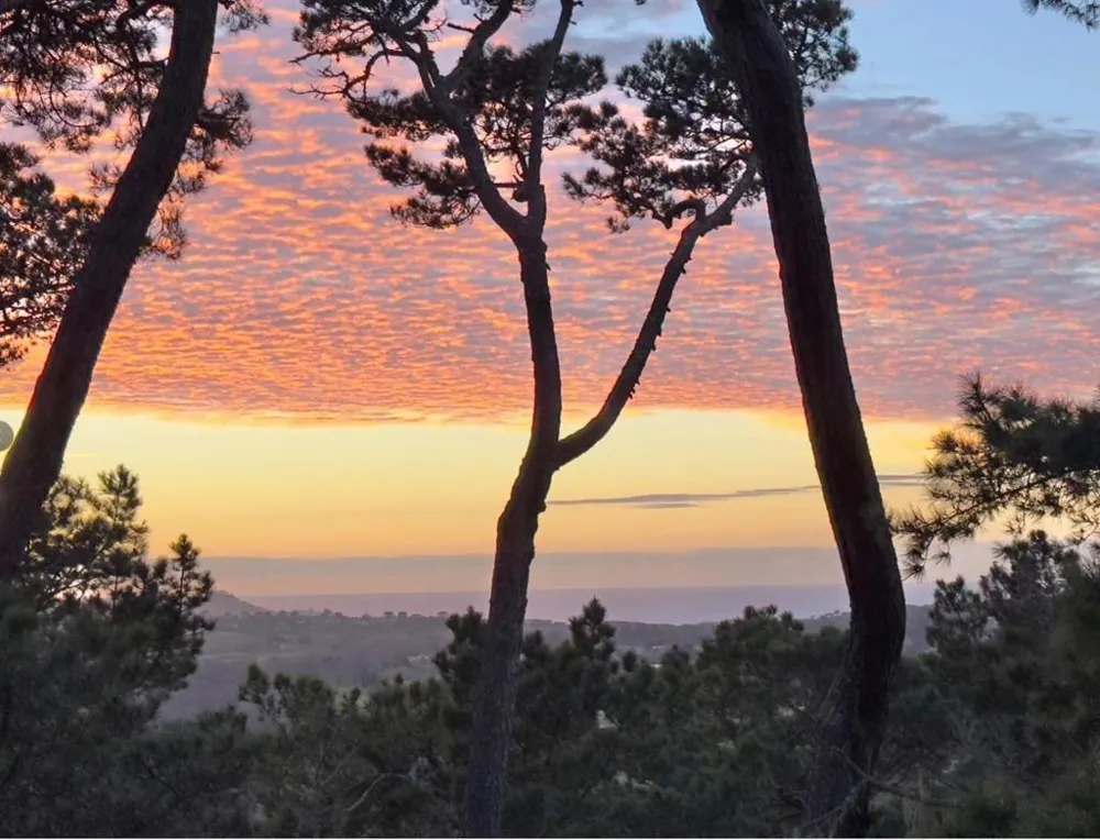 31 Del Mesa Carmel Carmel, CA 93923