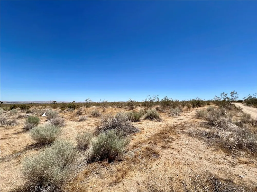 33501 165th Street E Llano, CA 93544