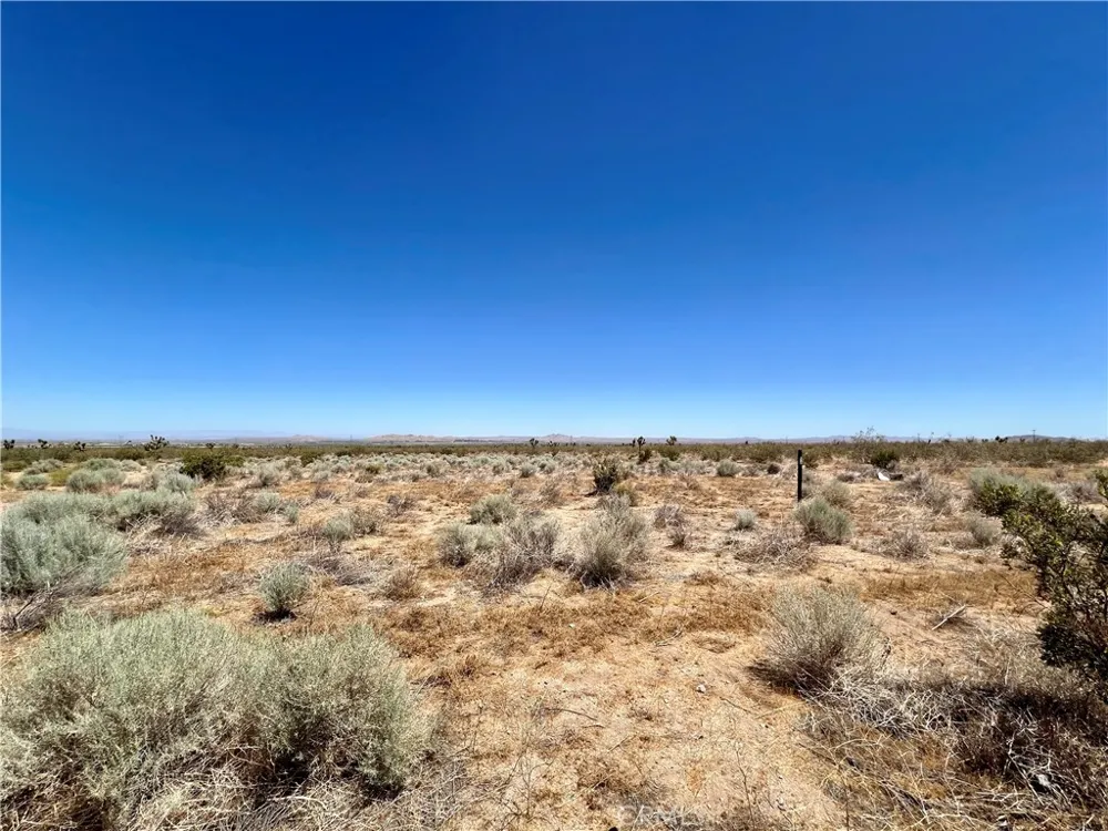 33501 165th Street E Llano, CA 93544