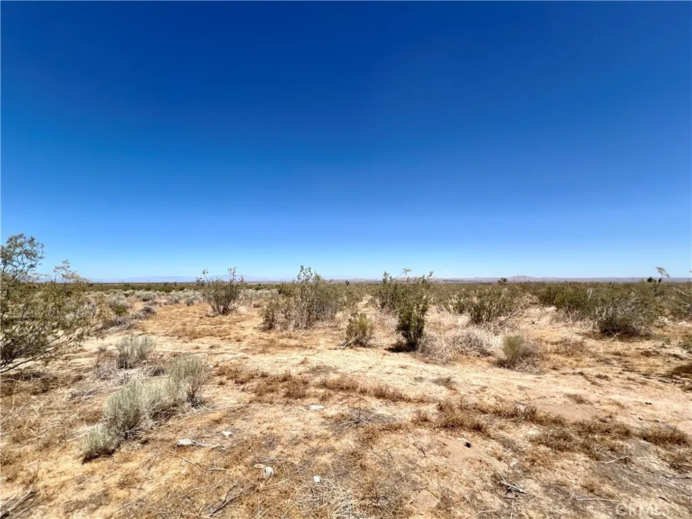 33501 165th Street E Llano, CA 93544
