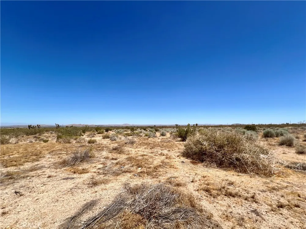 33501 165th Street E Llano, CA 93544