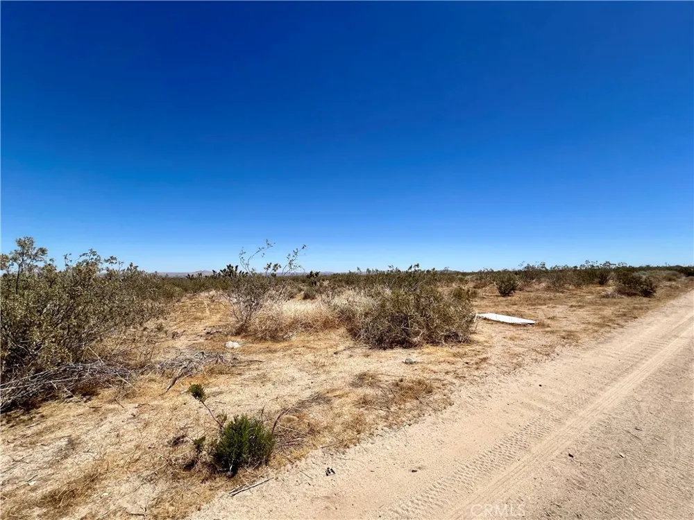 33501 165th Street E Llano, CA 93544