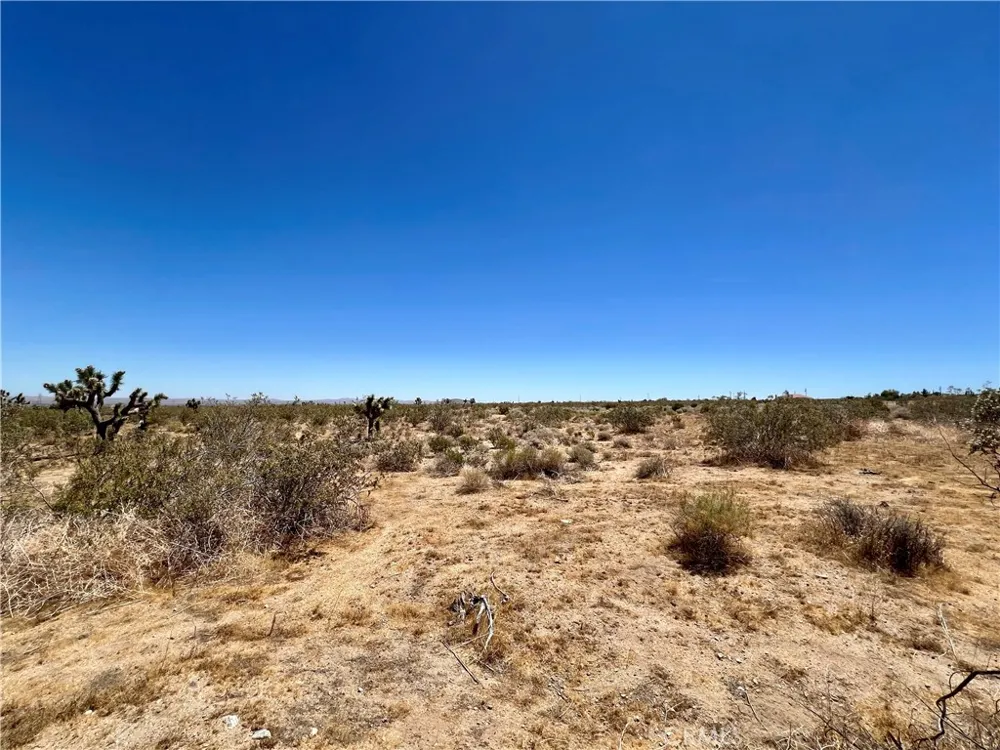 33501 165th Street E Llano, CA 93544