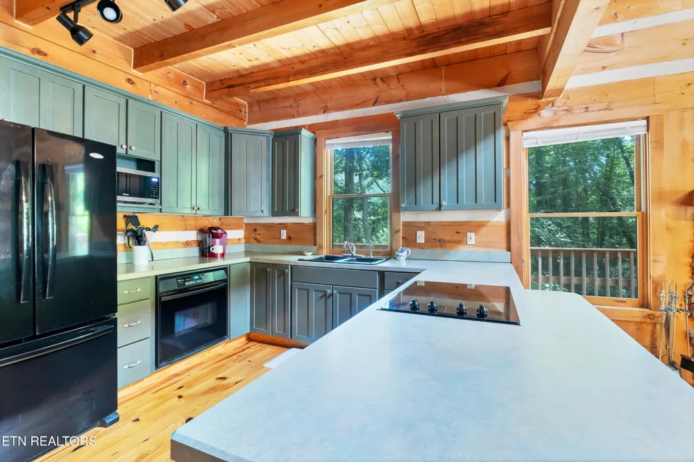 124 E Leatherwood Drive Walland, TN 37886