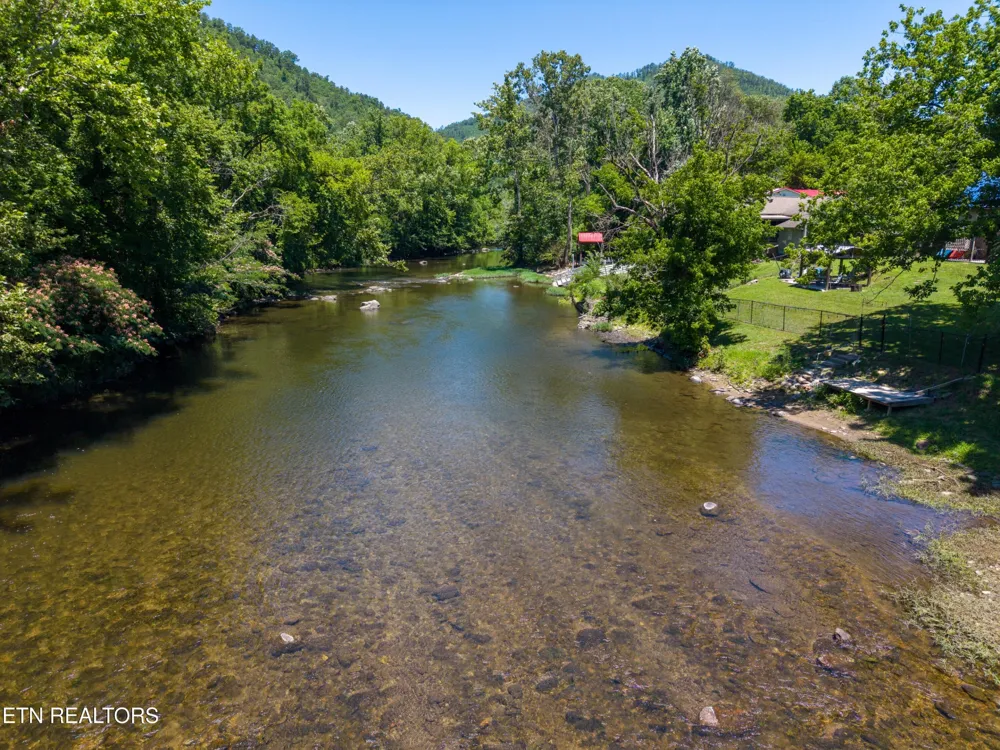 124 E Leatherwood Drive Walland, TN 37886