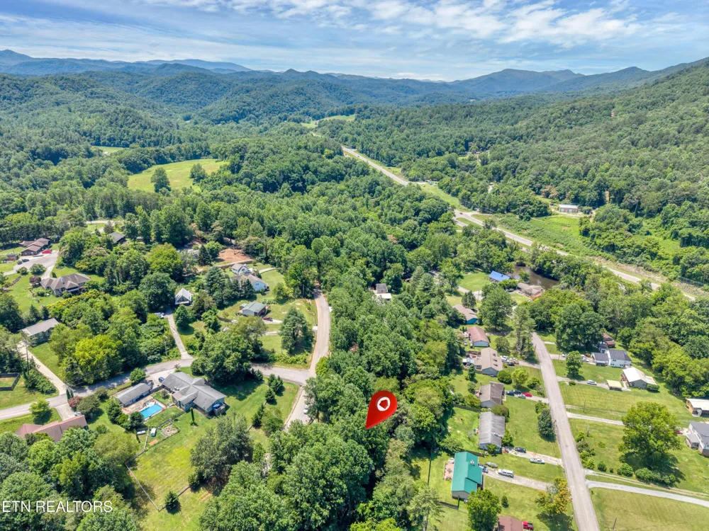 124 E Leatherwood Drive Walland, TN 37886