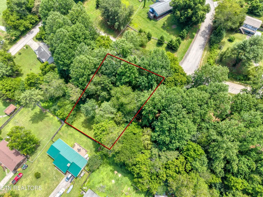 124 E Leatherwood Drive Walland, TN 37886