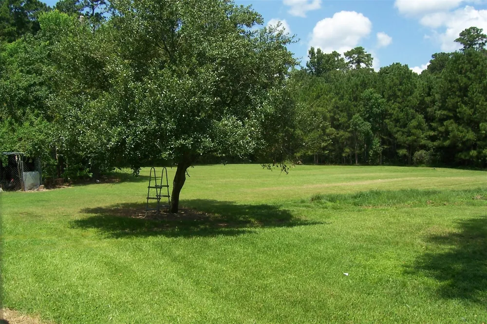 12110 Hillcrest Dr Pinehurst, TX 77362
