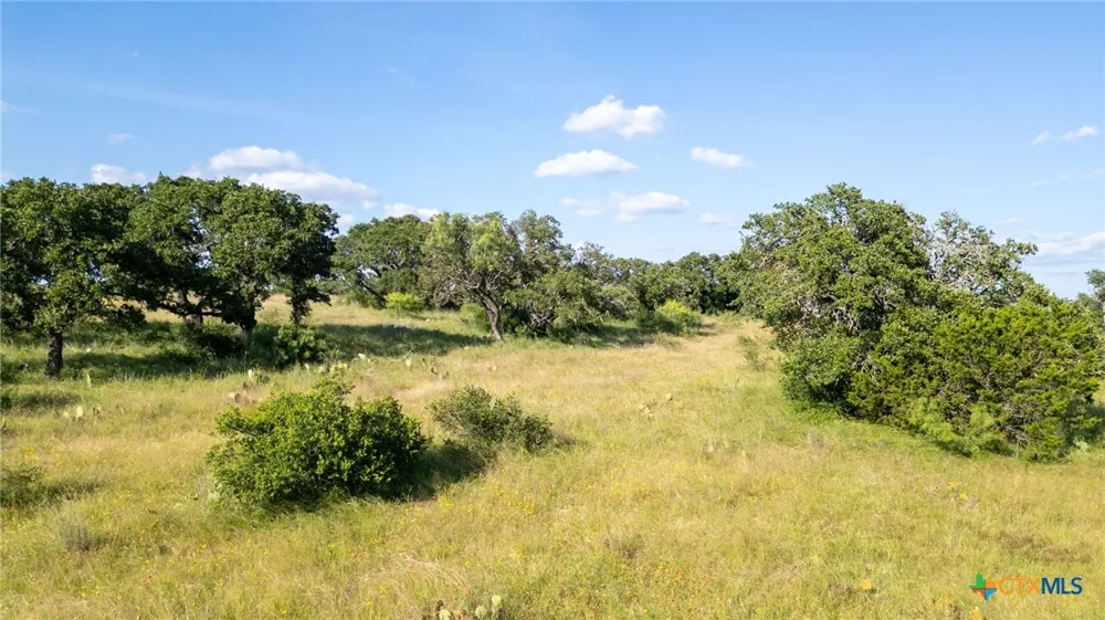 Address Not Shown San Saba, TX 76877