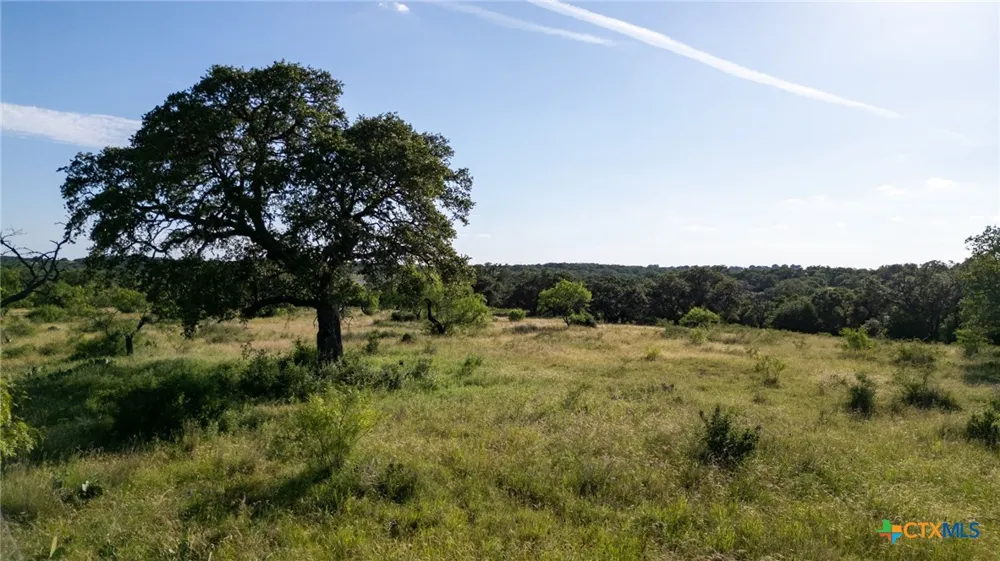 Address Not Shown San Saba, TX 76877