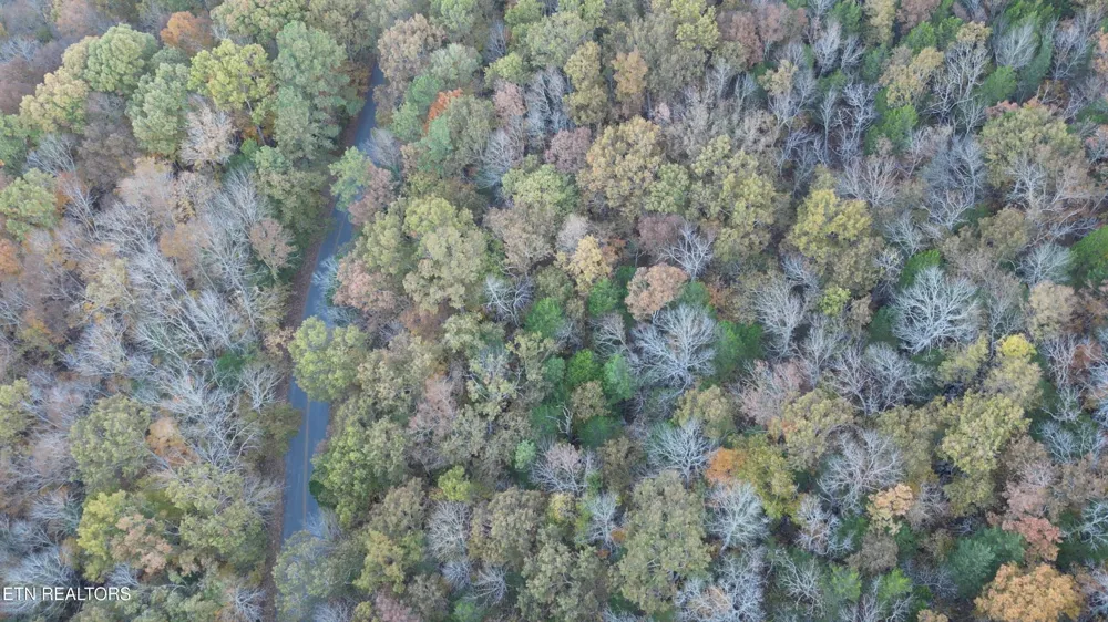 0 Turners Bend Rd McMinnville, TN 37110