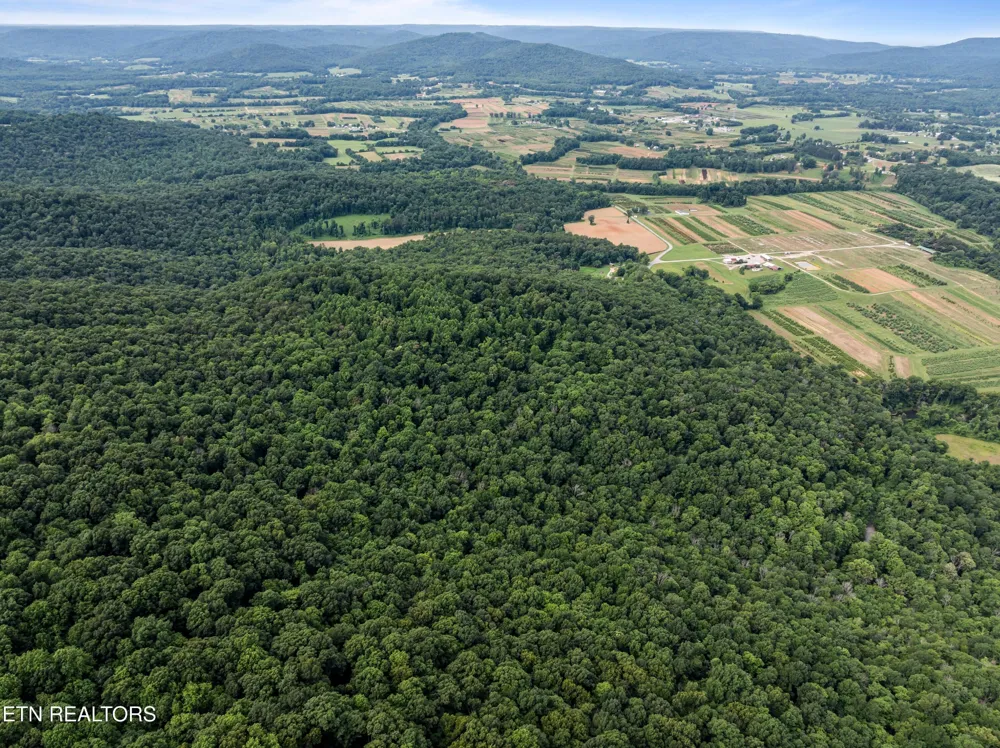 0 Turners Bend Rd McMinnville, TN 37110