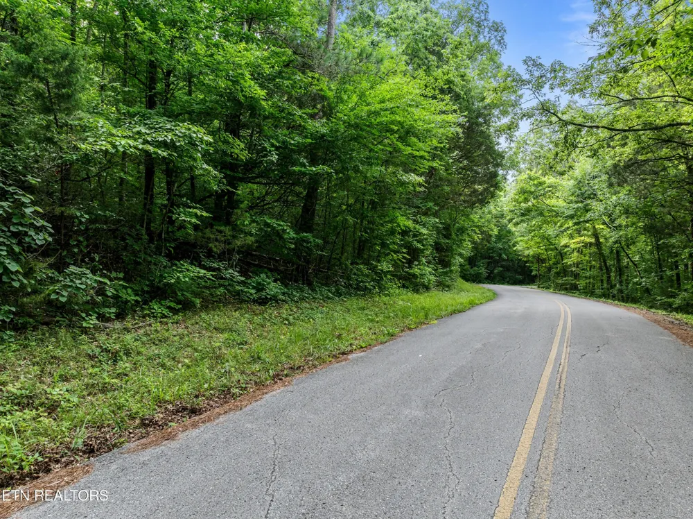 0 Turners Bend Rd McMinnville, TN 37110