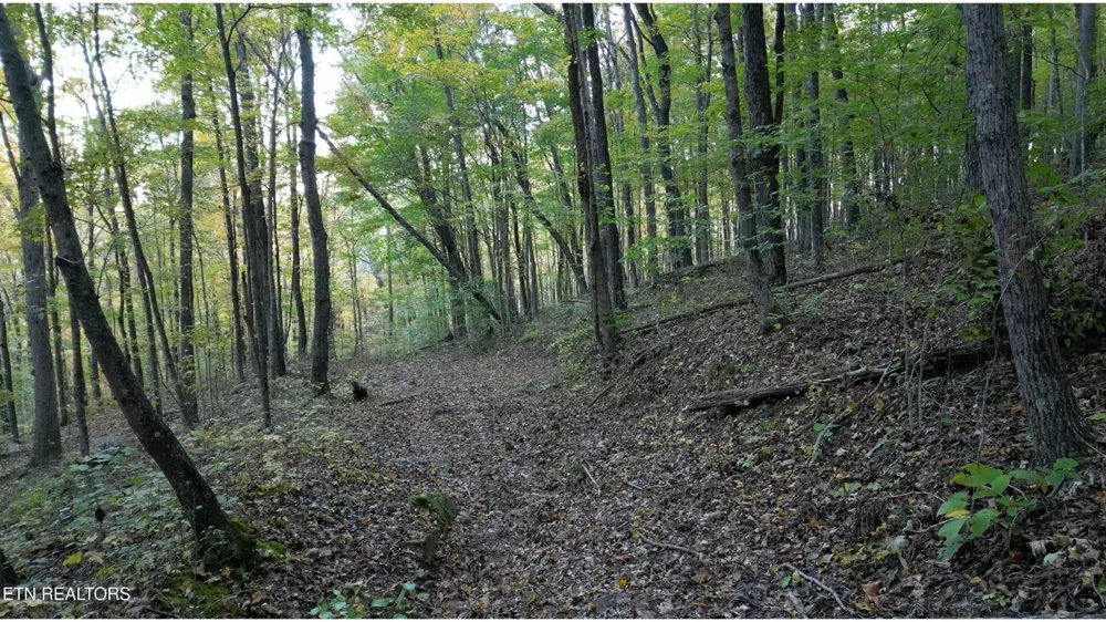 0 Turners Bend Rd McMinnville, TN 37110