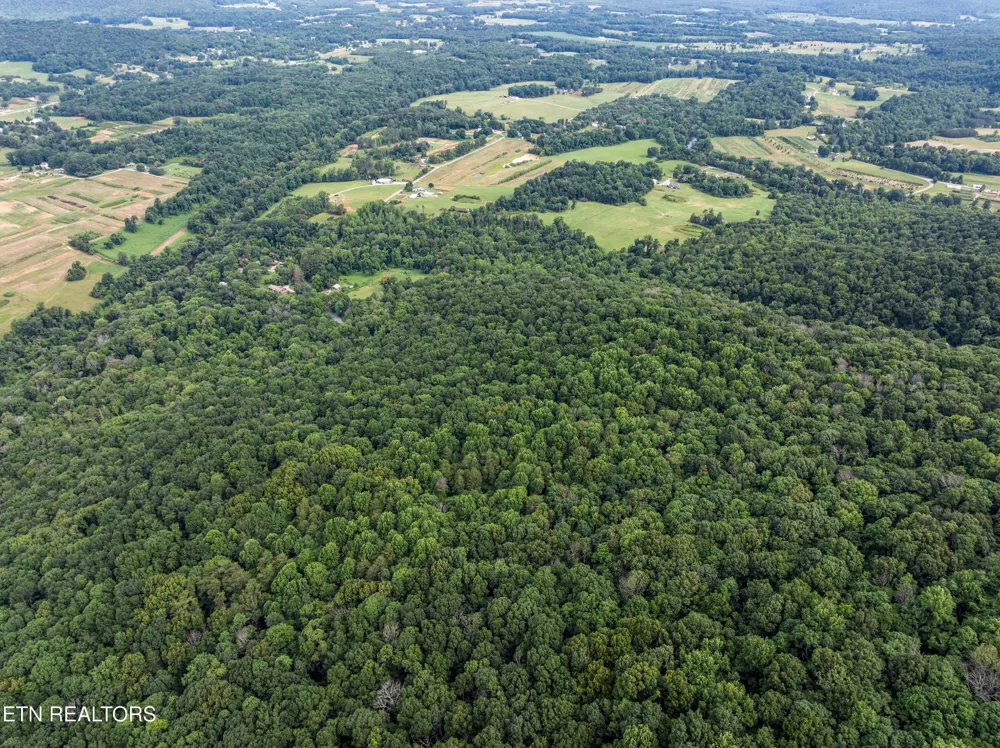 0 Turners Bend Rd McMinnville, TN 37110
