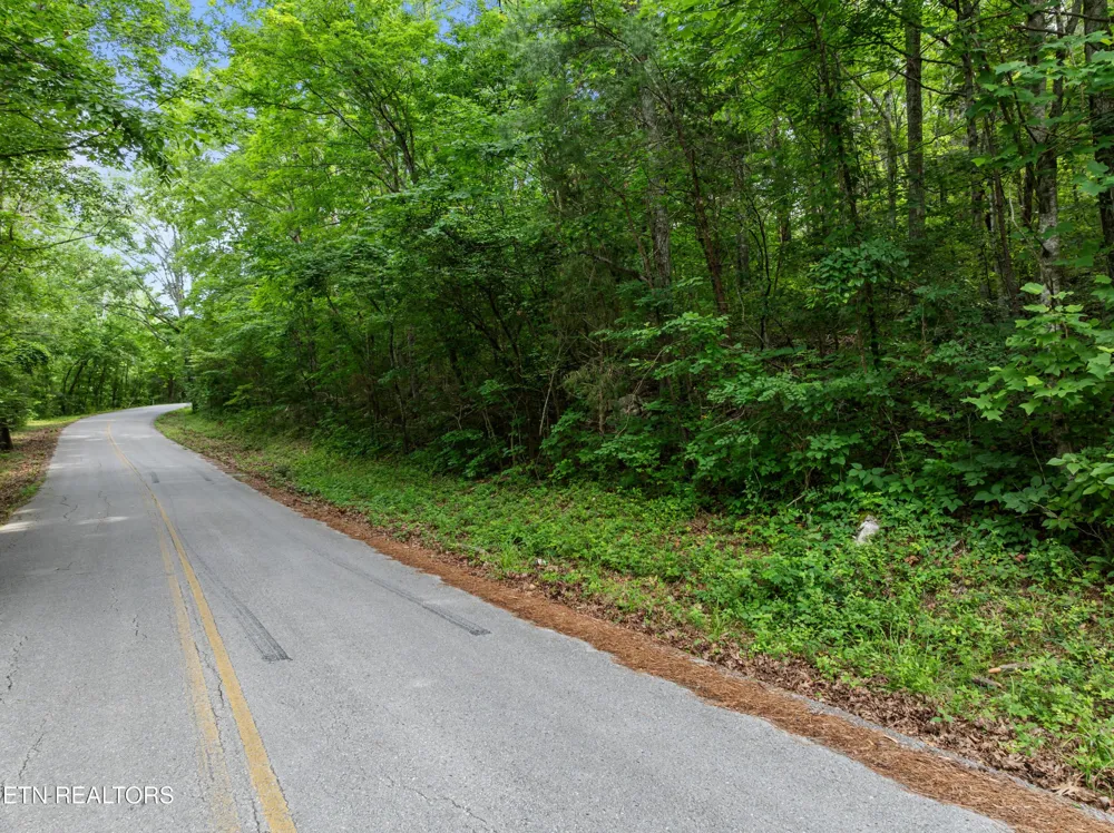 0 Turners Bend Rd McMinnville, TN 37110