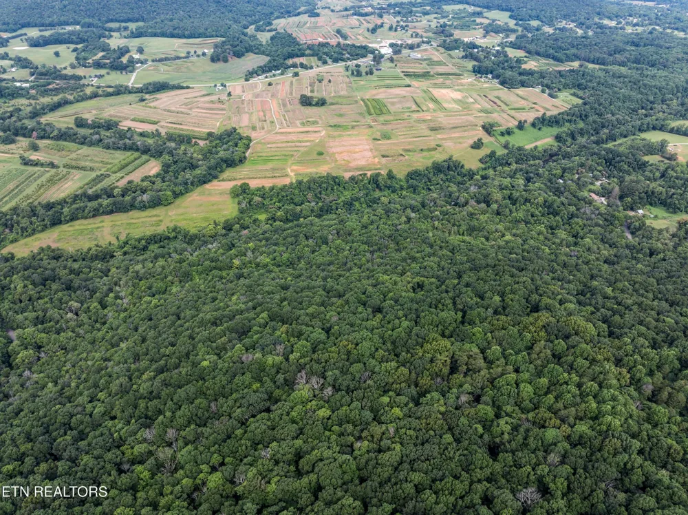 0 Turners Bend Rd McMinnville, TN 37110