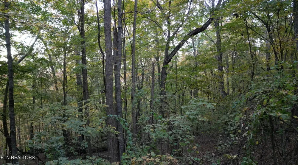 0 Turners Bend Rd McMinnville, TN 37110