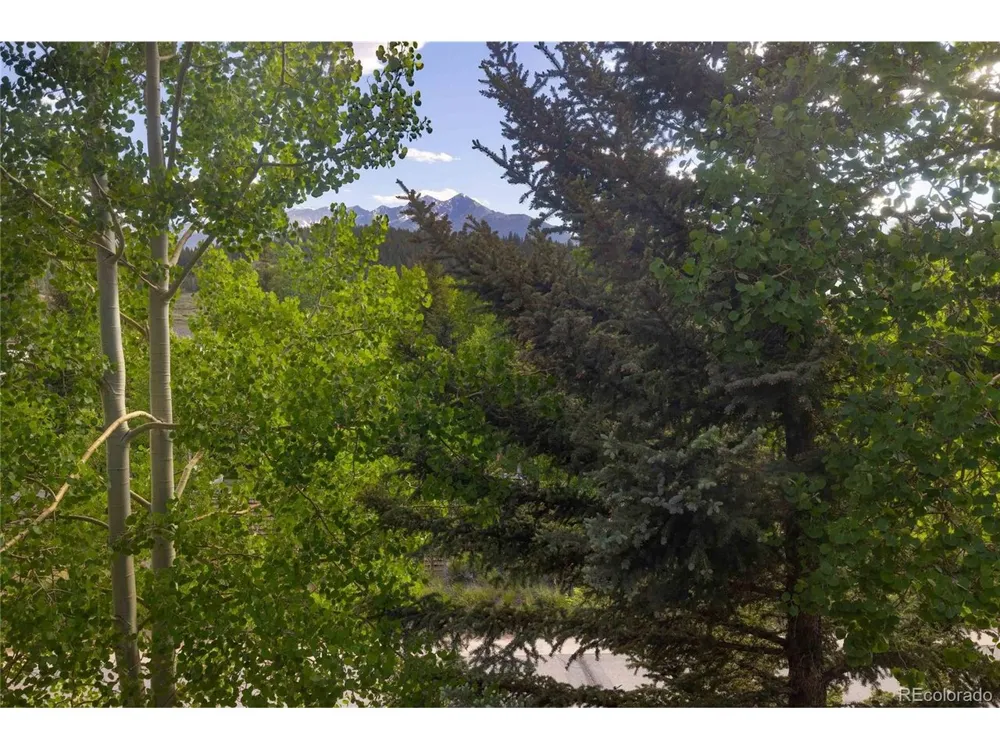 77 Corinthian Circle Dillon, CO 80435
