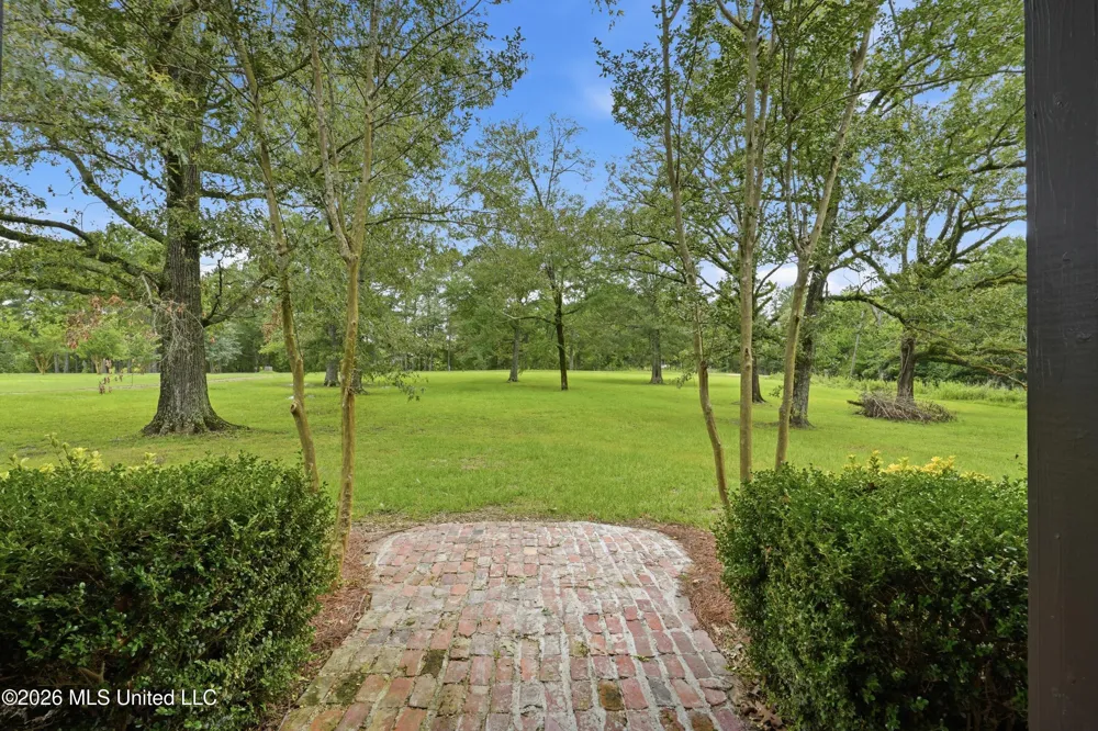 240 Mink Branch Road Pelahatchie, MS 39145
