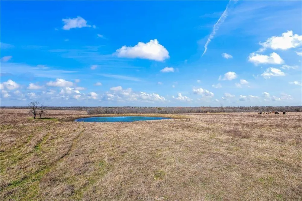 1258 Steinke Road Mart, TX 76664