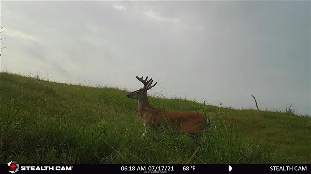 1258 Steinke Road Mart, TX 76664