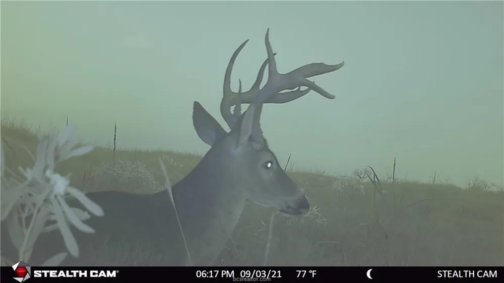 1258 Steinke Road Mart, TX 76664