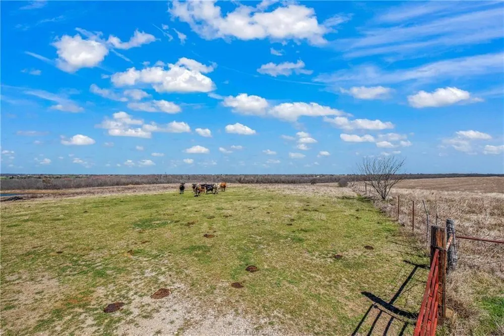 1258 Steinke Road Mart, TX 76664