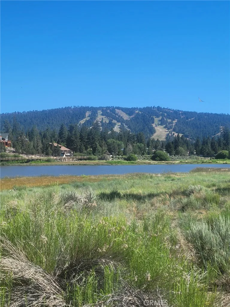1 38 North Shore Big Bear City, CA 92314