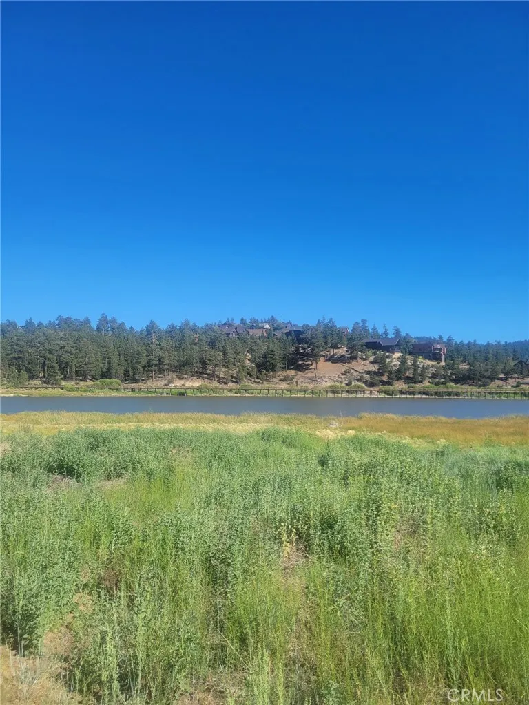 1 38 North Shore Big Bear City, CA 92314