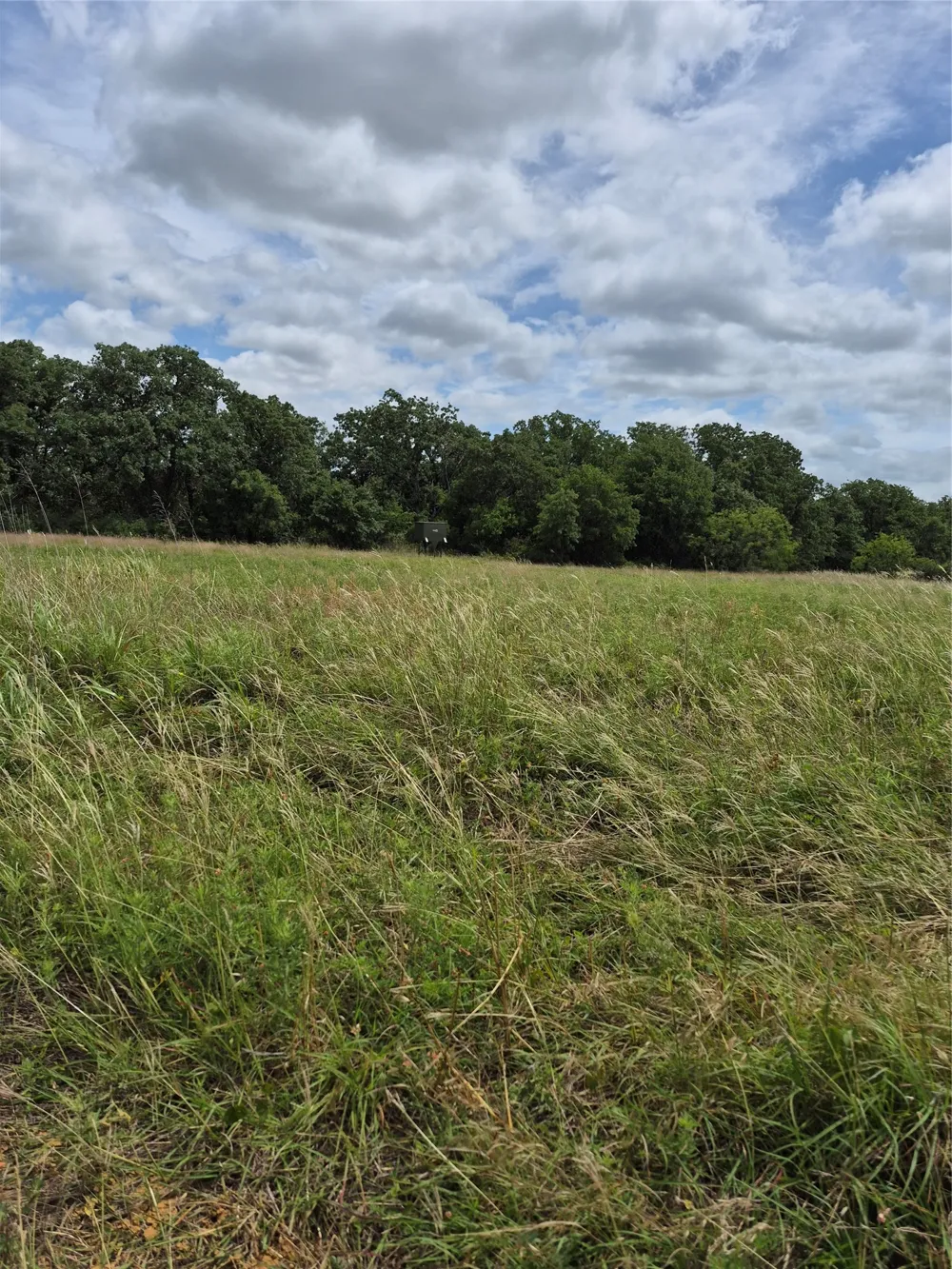 FM 175 Henrietta, TX 76365