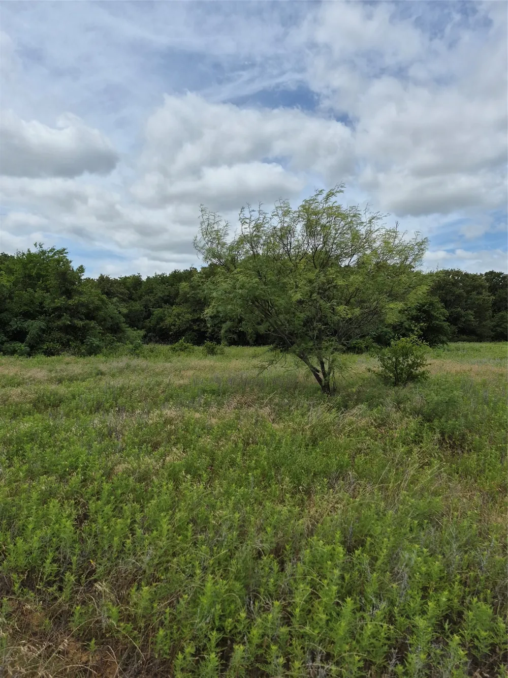 FM 175 Henrietta, TX 76365