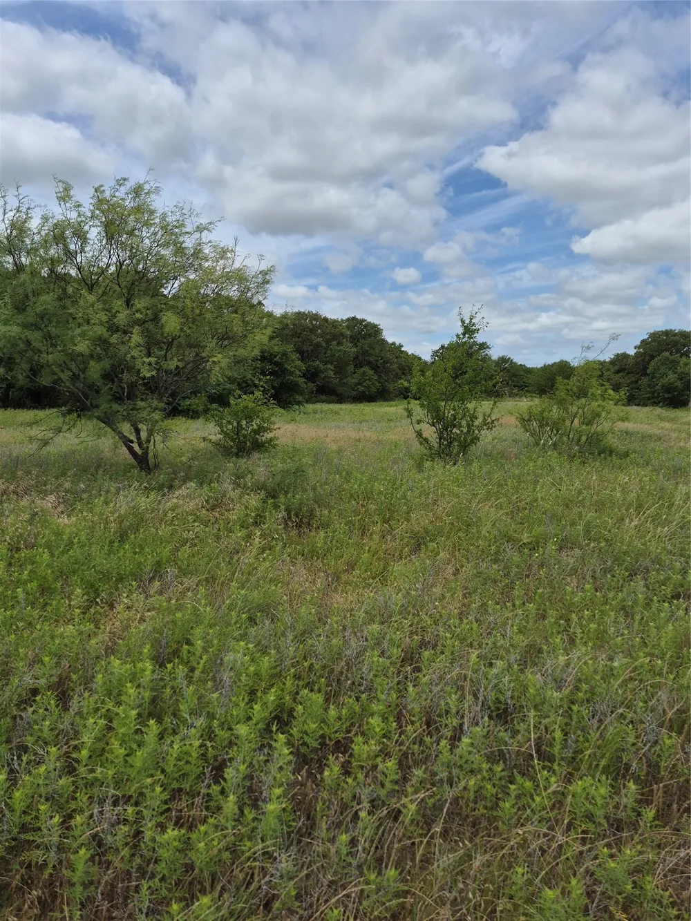 FM 175 Henrietta, TX 76365