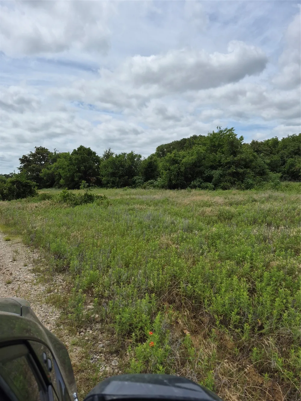 FM 175 Henrietta, TX 76365
