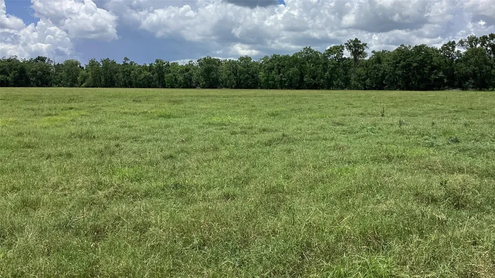 County Road 30s Angleton, TX 77515