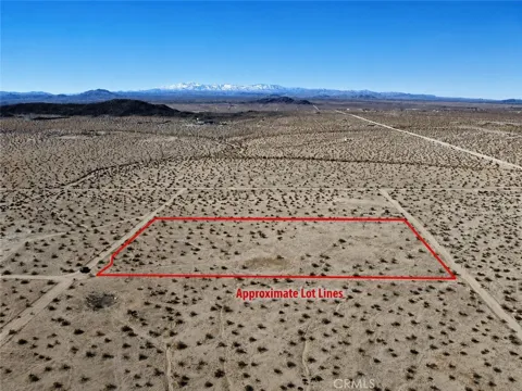 Desert Lily Street