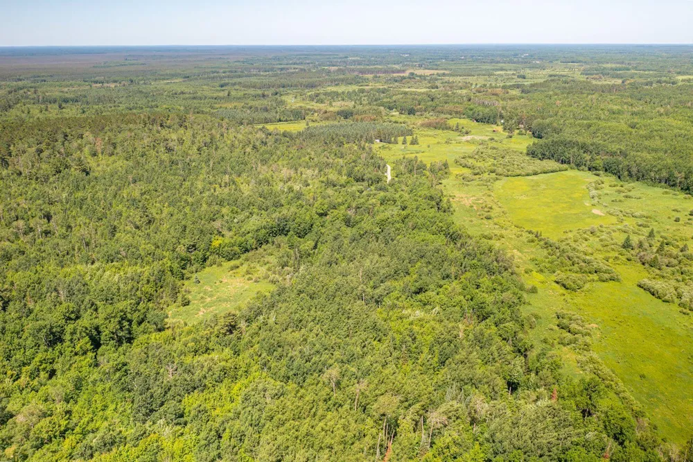 9374 Alango Road Angora, MN 55703
