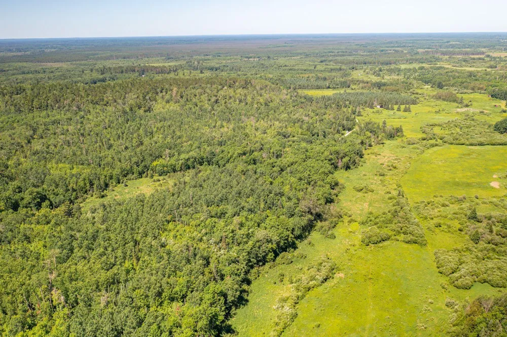9374 Alango Road Angora, MN 55703