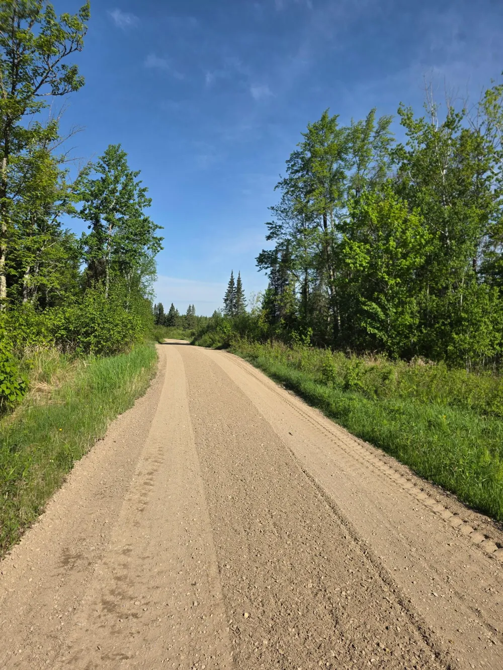 9374 Alango Road Angora, MN 55703