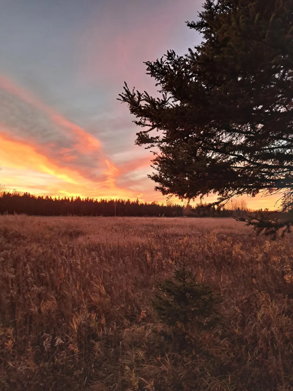 9374 Alango Road Angora, MN 55703